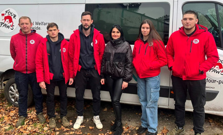 У Барі стерилізували понад сотню тварин: працювала команда ТОВ «Чотири лапи Україна»