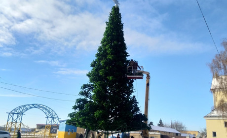 У Старокостянтинові встановлюють новорічну ялинку: коли відкриють і чи чекати сюрпризів
