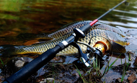 Рибалкам Білопільщини на замітку: в які дні квітня краще ловити рибу