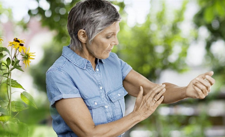 Маленький враг: клеща можно «подцепить» не только на загородной прогулке или даче, но и в городе