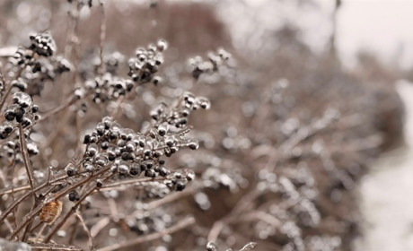 Первомайськ вкрило кригою. Фотоальбом січневого ранку