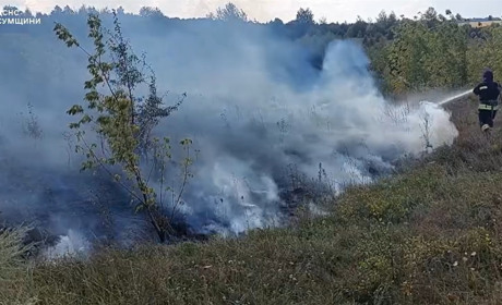 На Глухівщині сталася пожежа в екосистемі