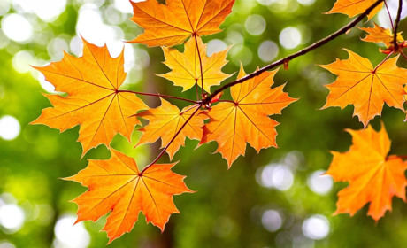 Как провести в Мелитополе и Мелитопольском районе выходные дни 21 – 22 сентября