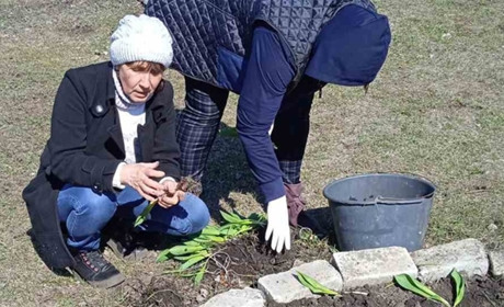 У селі Бабичеве біля будівлі сторічної школи висаджують квіти та обрізають саджанці