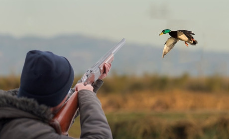 На Сватівщині розпочався сезон полювання на пернату дичину: які норми і скільки він триватиме
