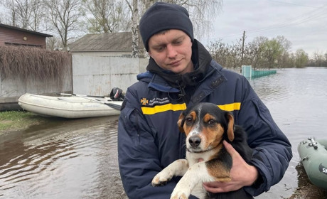 У Київській та ще чотирьох областях масштабні підтоплення, рятувальники евакуюють людей