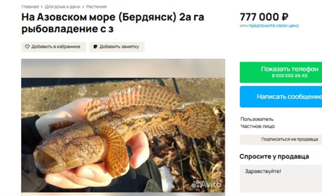 На російському сайті оголошень Авіто продають шматок Азовського моря у Бердянську