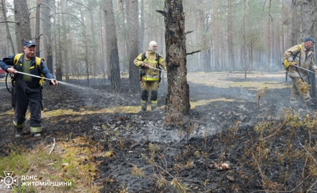 Горить Поліський природний заповідник на Житомирщині: площа пожежі поступово зменшується