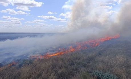 В окупованому заповіднику «Асканія-Нова» два дні вирувала пожежа, спричинена окупантами