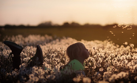 Якої погоди чекати мешканцям Сватового і району з 22 по 28 червня 2020: прогноз на тиждень