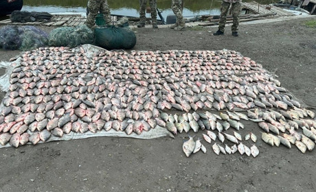 Ізмаїльські прикордонники за добу затримали браконьєрів із загальним уловом на 2,5 мільйони гривень