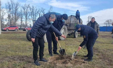 У Сватовому буде дубовий гай: де його висадили