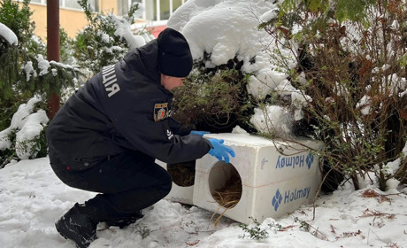 Патруль тепла для хвостиків: у Нетішині облаштували пункт незламності для бездомних чотирилапих