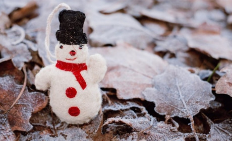 Якою буде погода на Сумщині у вихідні?