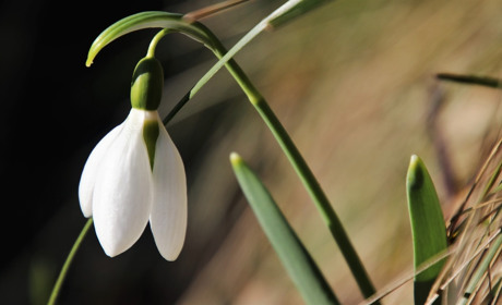 Якою буде погода на Сватівщині у перші дні квітня: прогноз з 29 березня по 4 квітня 2021