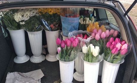 Які квіти та за яку ціну пропонують гадячанам продавці напередодні 8 березня