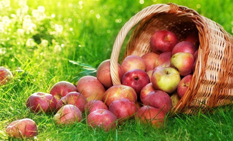 Найближчими днями буде тепло та без опадів. Днями в Україну прийде спека: прогноз погоди