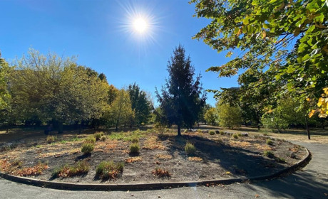 Осіння прогулянка Жовтими Водами: де насолодитися природою у місті та зробити класні фото