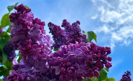 Погода в Старокостянтинові на 29 квітня - 5 травня: яким буде передвеликодній тиждень