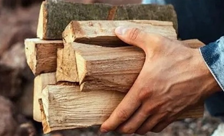 Як за Закон «про дрова» голосували нардепи із Хмельниччини