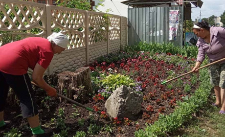 Хотілося б, аби висаджені квіти радували зір білопільців і гостей міста, а не спритників-крадіїв…