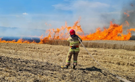 До +33°С: жителів Рівненщини попереджають про надзвичайний рівень пожежної небезпеки