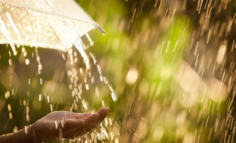 На початку тижня на Сумщині пройдуть дощі: прогноз погоди