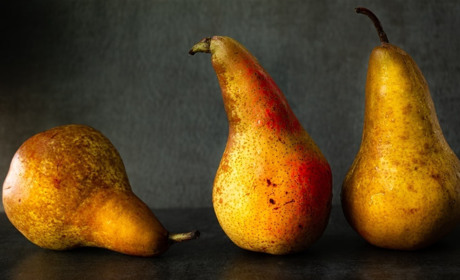 Все секреты сушилок для фруктов, овощей и грибов