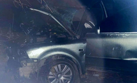 Поблизу Звягеля автівка зіткнулася з деревом: пасажирка загинула, а водій у реанімації