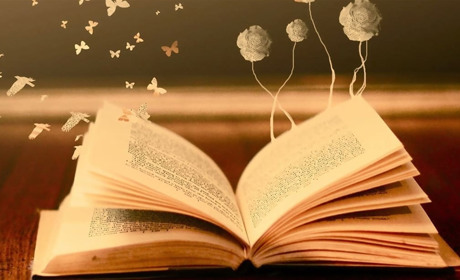 Від шоку до надії: книги, що врівноважать твій емоційний стан	