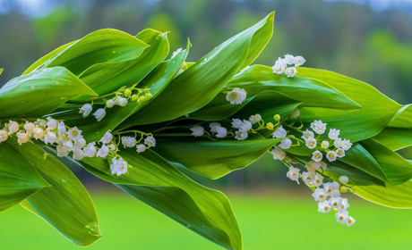 Якою буде погода у Сватовому і районі в останні дні травня: прогноз з 25 по 31 травня 2020