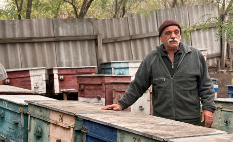 Мед, праця і виживання: як досвід пасічників Первомайщини вчить берегти майбутнє
