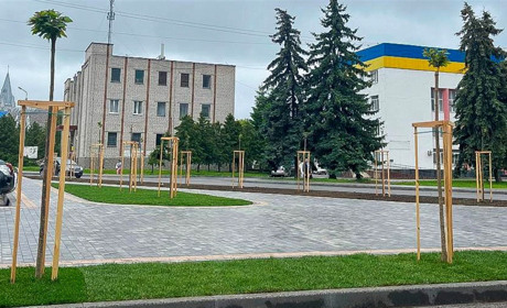 У Барі почали стелити рулонний газон: площі біля автовокзалу та бібліотеки вже «позеленіли»