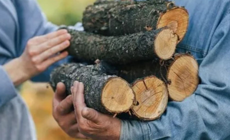 Пільги на дрова і вугілля для ветеранів: як отримати допомогу