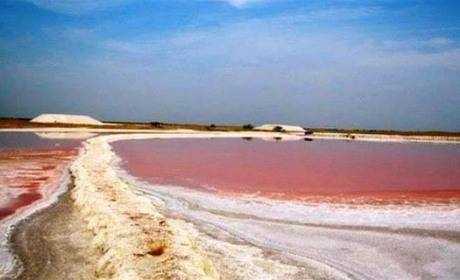 Не треба їхати в Ізраїль. Унікальне рожеве озеро на Херсонщині не має аналогів у світі