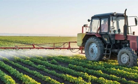 У Новій Дофінівці агровиробника оштрафували через обробку полів пестицидами без попередження людей