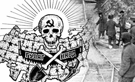Кажете, що ковбаса була по 2,20? "Убей меня", "Doktor"