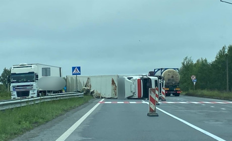 На об'їзній дорозі Звягеля перекинулася вантажівка