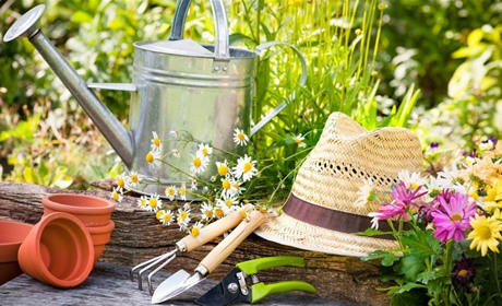 Весняна підготовка саду