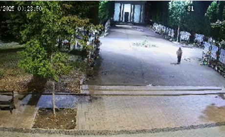 Ніжинські поліцейські встановили причетну до хуліганських дій на Алеї Героїв у Ніжині