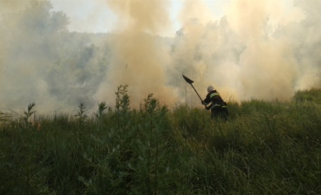 У Мілуватці Сватівського району горіли два гектари трави