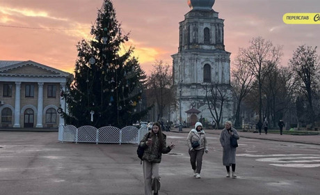 "Син привіз саджанці з Карпат": як родинне дерево стало головною ялинкою Переяслава