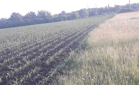 Битва за землю триває: виграємо - значить, збережемо її для майбутніх поколінь! 