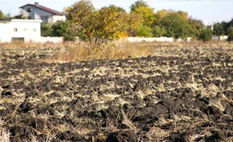 Продовольча безпека регіону. У Лозівському районі аграрії сіють озимі культури в суху землю