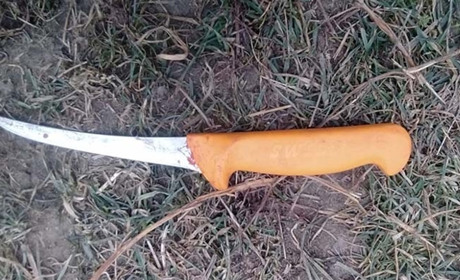 На Чортківщині чоловік колов свиню і смертельно травмувався ножем