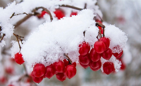 Що готує погода жителям Білопільщини та Сумщини?