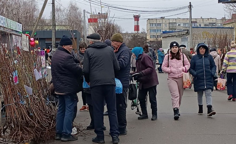 На базарі у Переяславі ажіотаж довкола саджанців: ціни на дерева від 100, на кущі — від 20 гривень