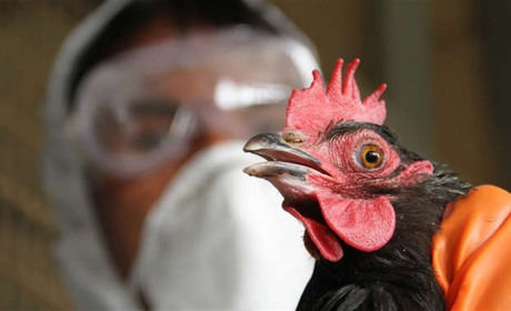 Окупанти вигадали на Херсонщині “вірус” від США