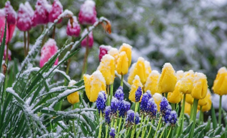 Синоптики прогнозують нічні морози: погода на Сумщині та в Україні