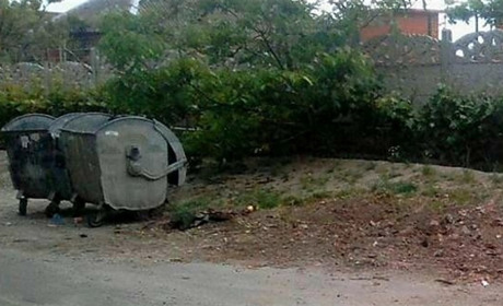 1000 і 1 контейнер або - побутове в бачки, гілля - біля: як у Нікополі долають проблеми зі сміттям